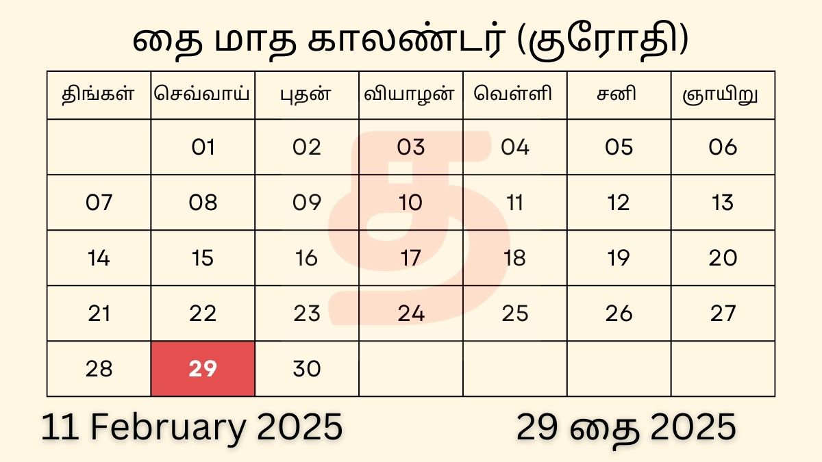 11 February 2025 Tamil Daily Calendar